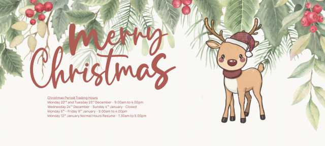 WEBSITE BANNER CHRISTMAS HOURS 1