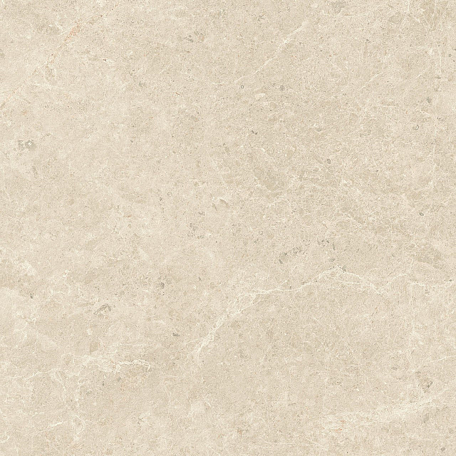 HCQY Atlas Concorde Nyra Hay 120x120 Matt 3