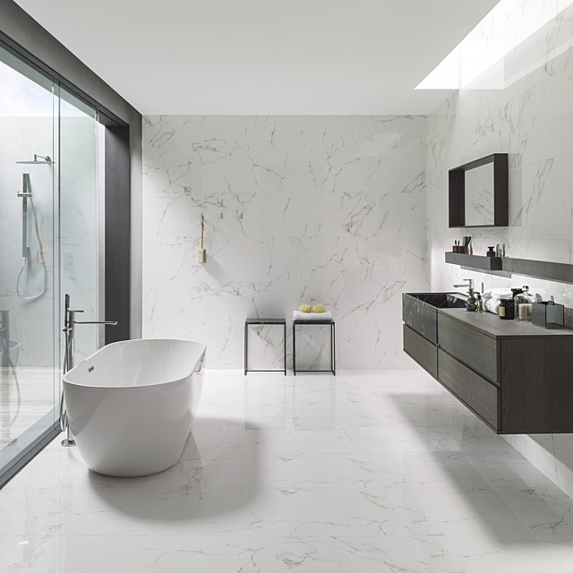 490447 P AMB 000473 1656x1242